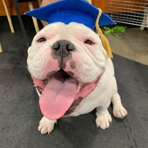 Meet your Posher, Anhtuan